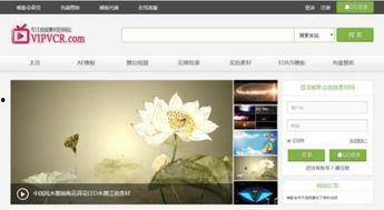 在线视频模板制作网站,探索在线视频模板制作网站的无限可能