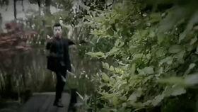 九虎在线视频免费观看,精彩内容一网打尽