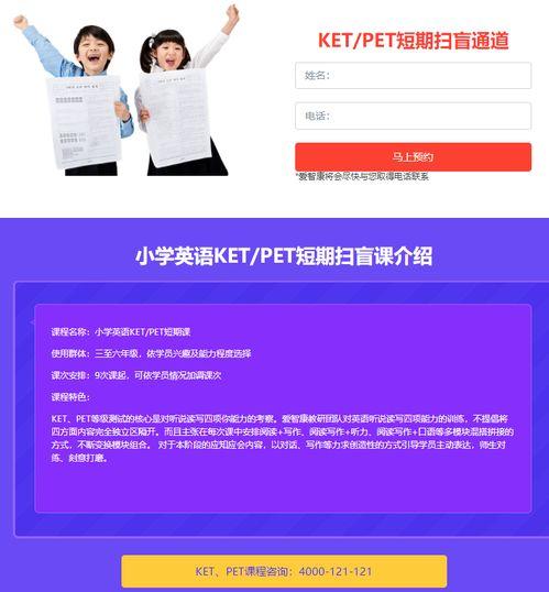 PET在线视频课程,全面解析英语专业四级的必备技能与策略