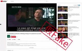 华人在线视频91,揭秘热门视频平台的魅力与挑战